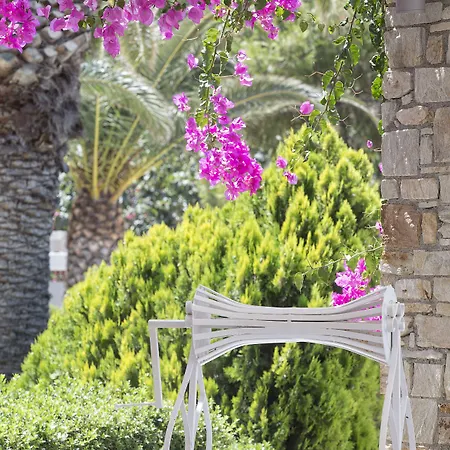 Hotel Dionysos Seaside Ios Mylopotas