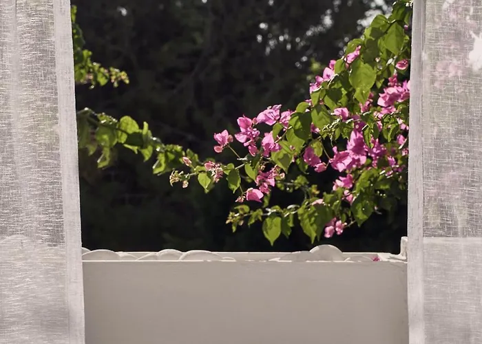 Dionysos Seaside Ios 4*