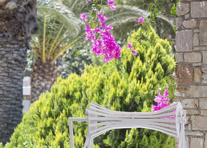 Hotel Dionysos Seaside Ios Mylopotas