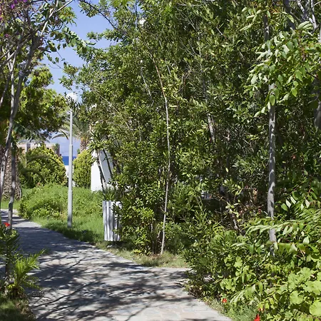 Dionysos Seaside Ios