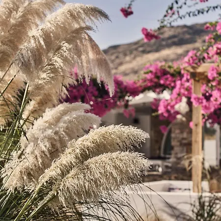 Dionysos & Mylopotas