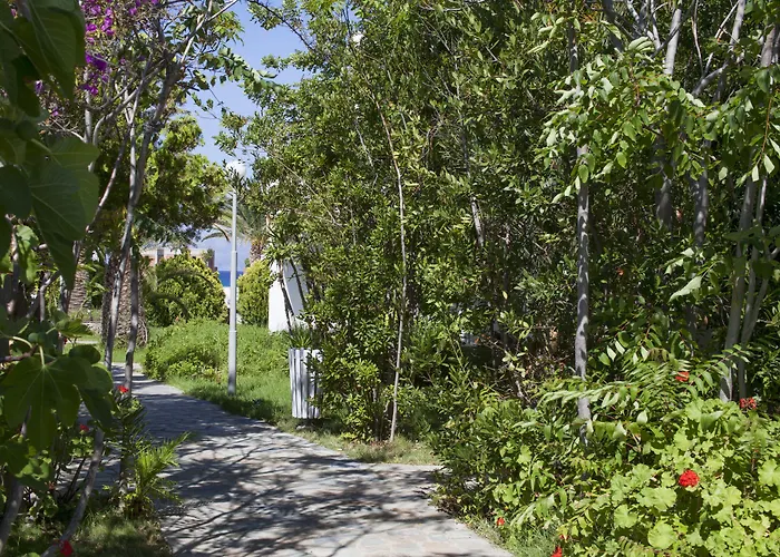 Dionysos Seaside Ios