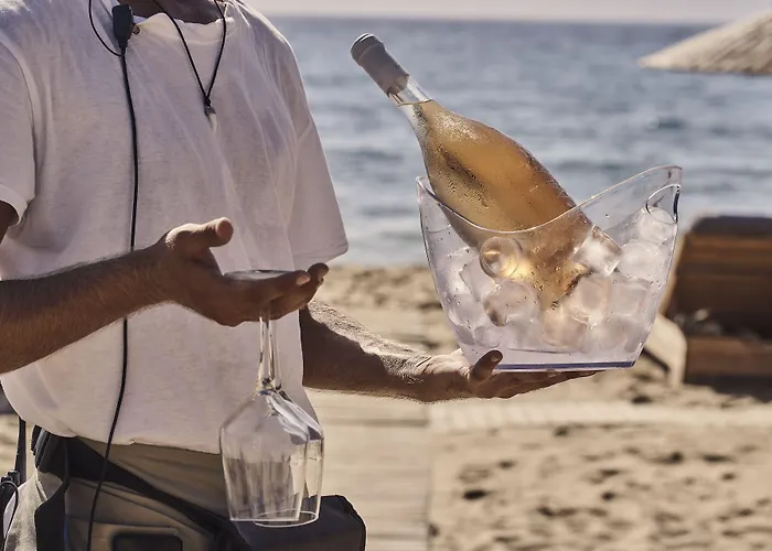 Dionysos Seaside Ios Μυλοπότας